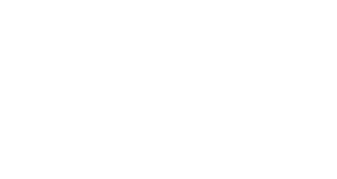 digital india